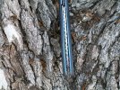g10 damascus flipper 025.jpg g10 damascus flipper 025.jpg