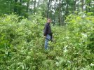 2011-05-18 19.45.31.jpg