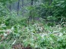 2011-05-18 19.50.34.jpg
