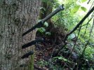 2011-05-18 19.35.50.jpg