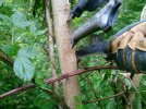 2011-05-18 17.13.07.jpg
