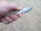 little 1095 002.jpg