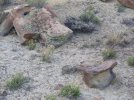 rock anvils.jpg