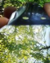 20200426_121938.jpg