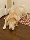 IMG_7270.jpeg