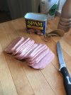 Spam b.jpg