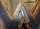 Buck 110 slim pro brown (3).jpg