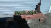 IMG_20200417_093136.jpg