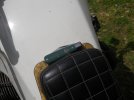 bmwredtrout.JPG