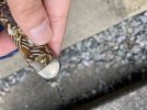 thumbnail_Image (7).jpg