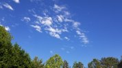 20200502_180831.jpg