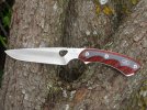 Buck 539-3.JPG