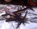 KRJOHNSON-2011-05-24.jpg