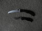Spydie Saw and Stretch 1.JPG