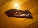 IMG00147-20110603-1408.jpg