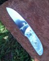 Deluxe Wharncliffe Design.jpg