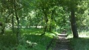 2011-05-30_11-20-42_277.jpg