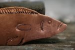 Minnow 009.jpg