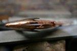 Minnow 027.jpg