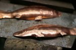 Minnow 023.jpg