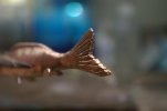 Minnow 066.jpg