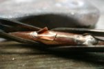 Minnow 058.jpg