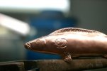 Minnow 064.jpg