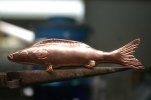 Minnow 063.jpg