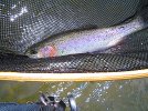 Fishing 2010 006.jpg