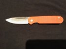 Bull large shamwari orange - Clyde 1.jpg Bull large shamwari orange - Clyde 1.jpg