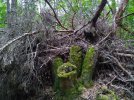 IMG_20200524_205031_resize_73.jpg