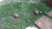 IMG_20200523_101143.jpg