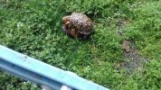 IMG_20200523_101401.jpg