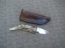 Elk Tine caping knife side.jpg Elk Tine caping knife side.jpg