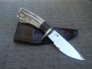 Elk-Bocote hunter best.jpg Elk-Bocote hunter best.jpg