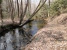 DSC01160a.jpg