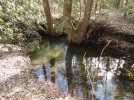 DSC01159a.jpg
