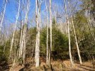 DSC01161a.jpg
