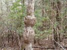 DSC01152a.jpg