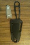 110APPLEIMG_0512.JPG