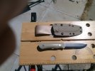 IMG_20200602_125244.jpg