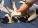 puppy shot3.jpg