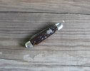 Old Knives & Cramer Swayback 029.jpg