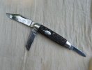 Old Knives & Cramer Swayback 007.jpg