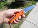 orange in hand.jpg