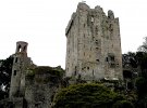 IMG_1416.JPG