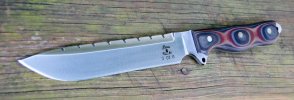 Busse-CS_DSFv_3of6.jpg