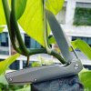 kizer_inc_83187739_304049514065546_4446169115020433947_n.jpg kizer_inc_83187739_304049514065546_4446169115020433947_n.jpg