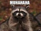 Muhahaha Coon2.jpg