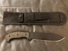 sh e sheath - Copy.jpg